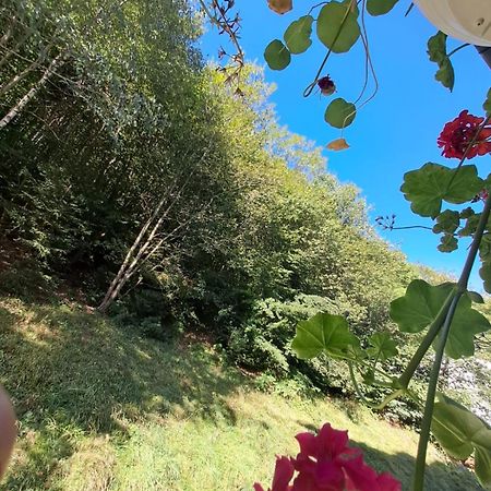 Garsoniera Flori - Sinaia Apartman Kültér fotó