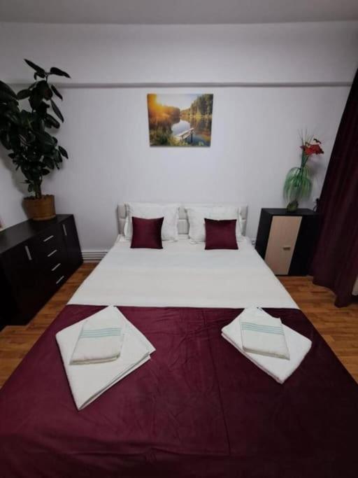 Garsoniera Flori - Sinaia Apartman Kültér fotó