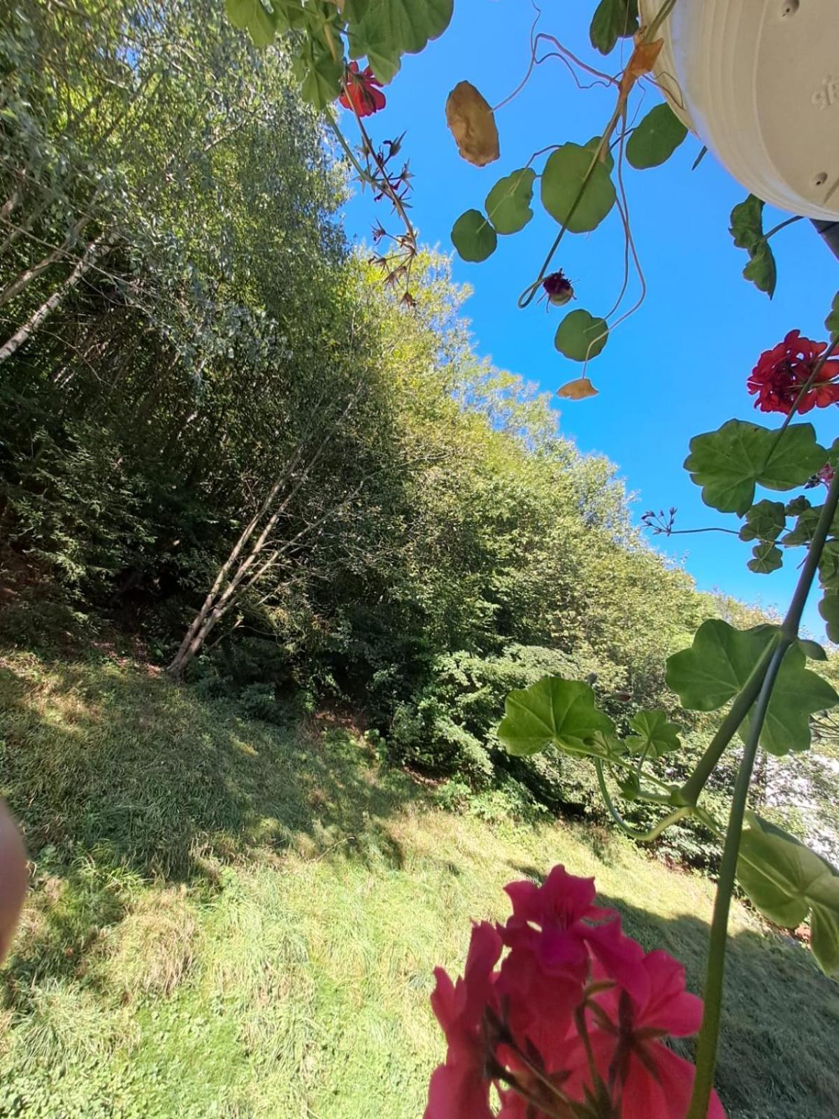 Garsoniera Flori - Sinaia Apartman Kültér fotó